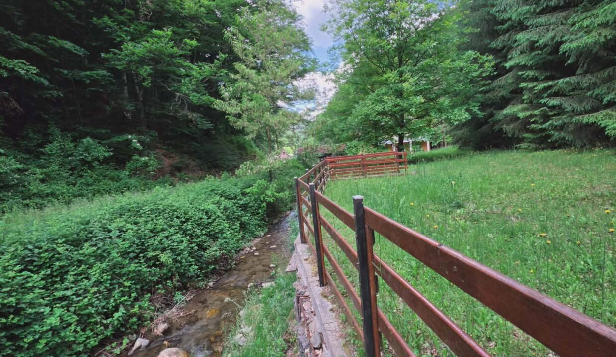CV0524-Casa Pensiune, doua imobile intr-unul singur de vanzare, Valea Bratcutei, Bihor-56