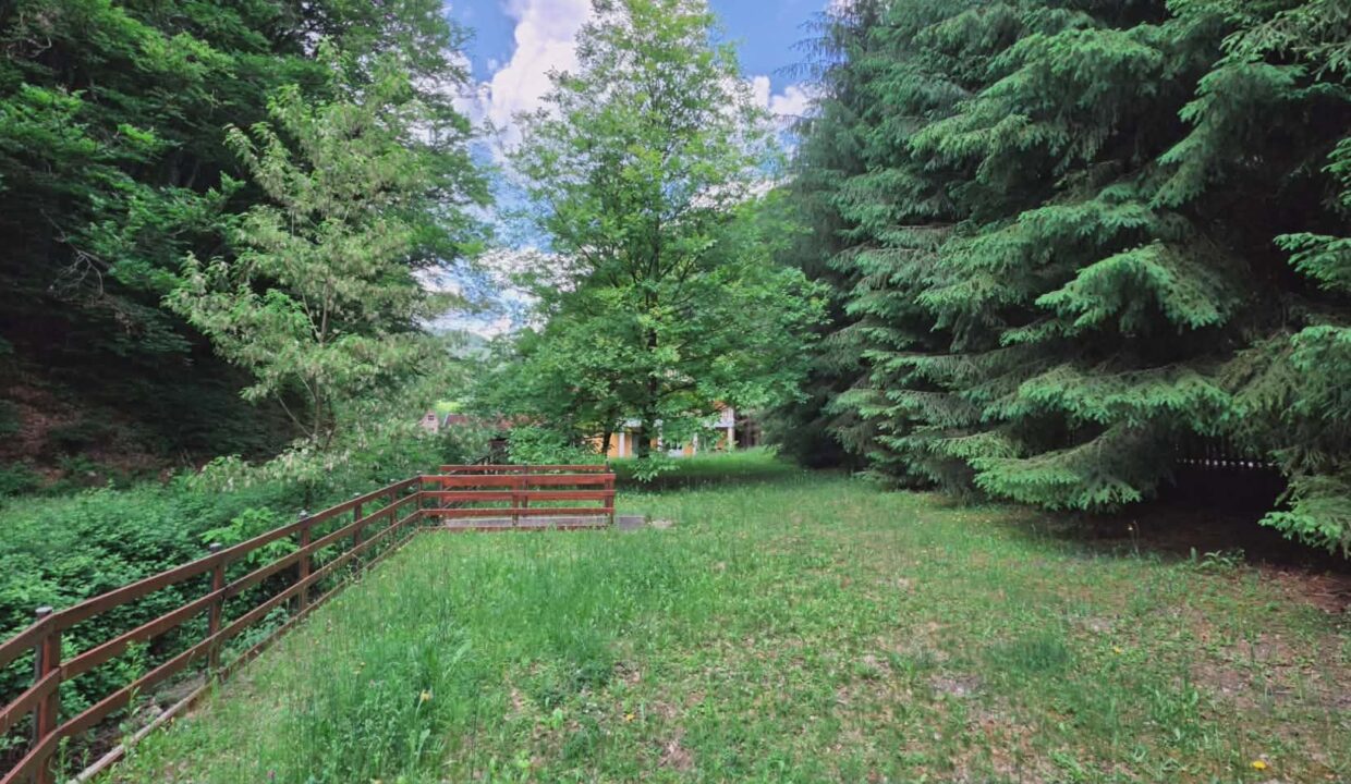 CV0524-Casa Pensiune, doua imobile intr-unul singur de vanzare, Valea Bratcutei, Bihor-57
