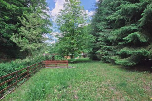CV0524-Casa Pensiune, doua imobile intr-unul singur de vanzare, Valea Bratcutei, Bihor-57