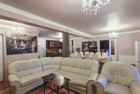 CV0524-Casa Pensiune, doua imobile intr-unul singur de vanzare, Valea Bratcutei, Bihor-57