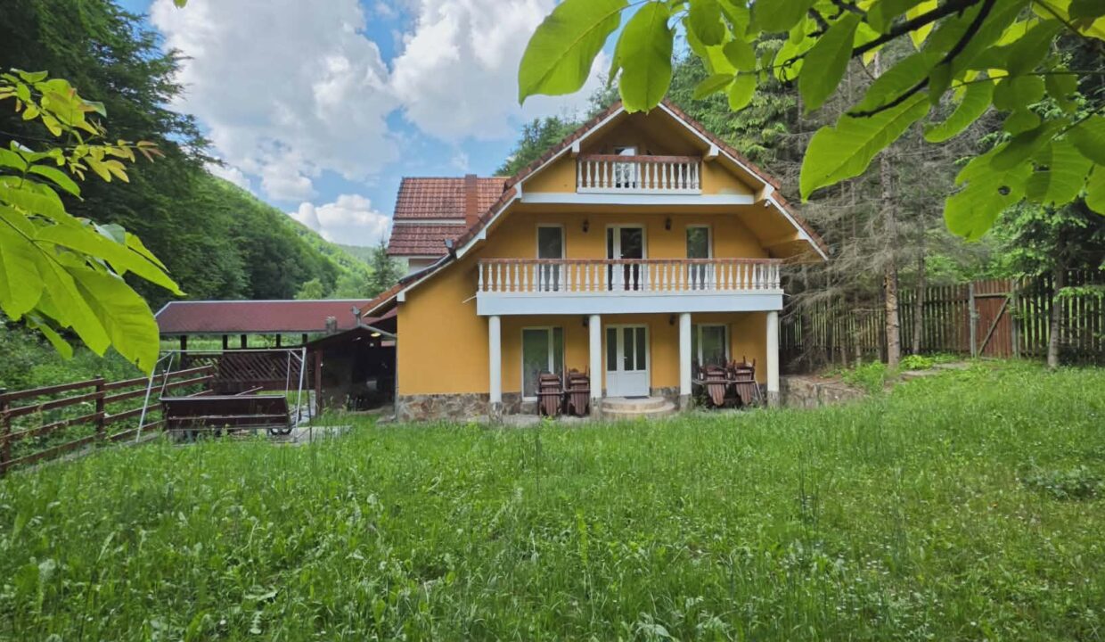 CV0524-Casa Pensiune, doua imobile intr-unul singur de vanzare, Valea Bratcutei, Bihor-59