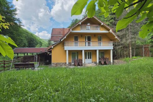 CV0524-Casa Pensiune, doua imobile intr-unul singur de vanzare, Valea Bratcutei, Bihor-59