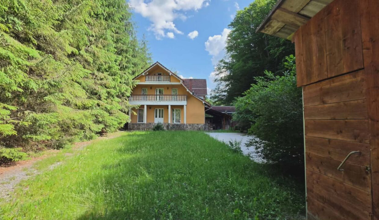 CV0524-Casa Pensiune, doua imobile intr-unul singur de vanzare, Valea Bratcutei, Bihor-61