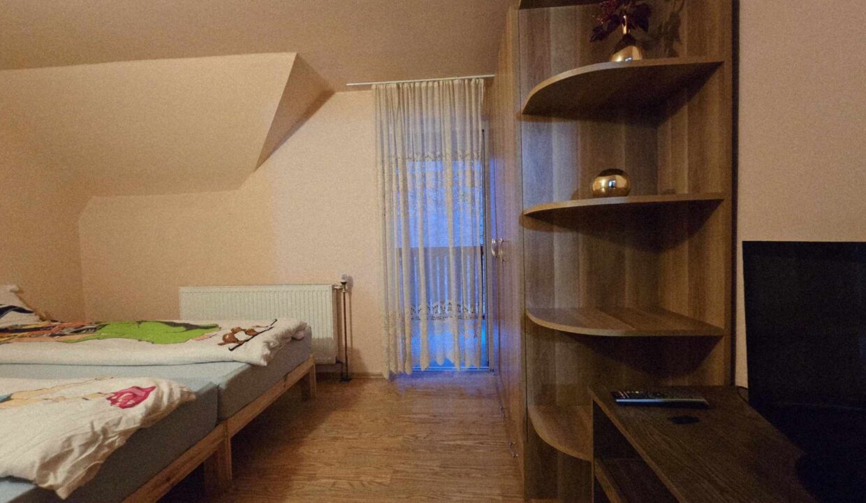 CV0524-Casa Pensiune, doua imobile intr-unul singur de vanzare, Valea Bratcutei, Bihor-62 - Copy