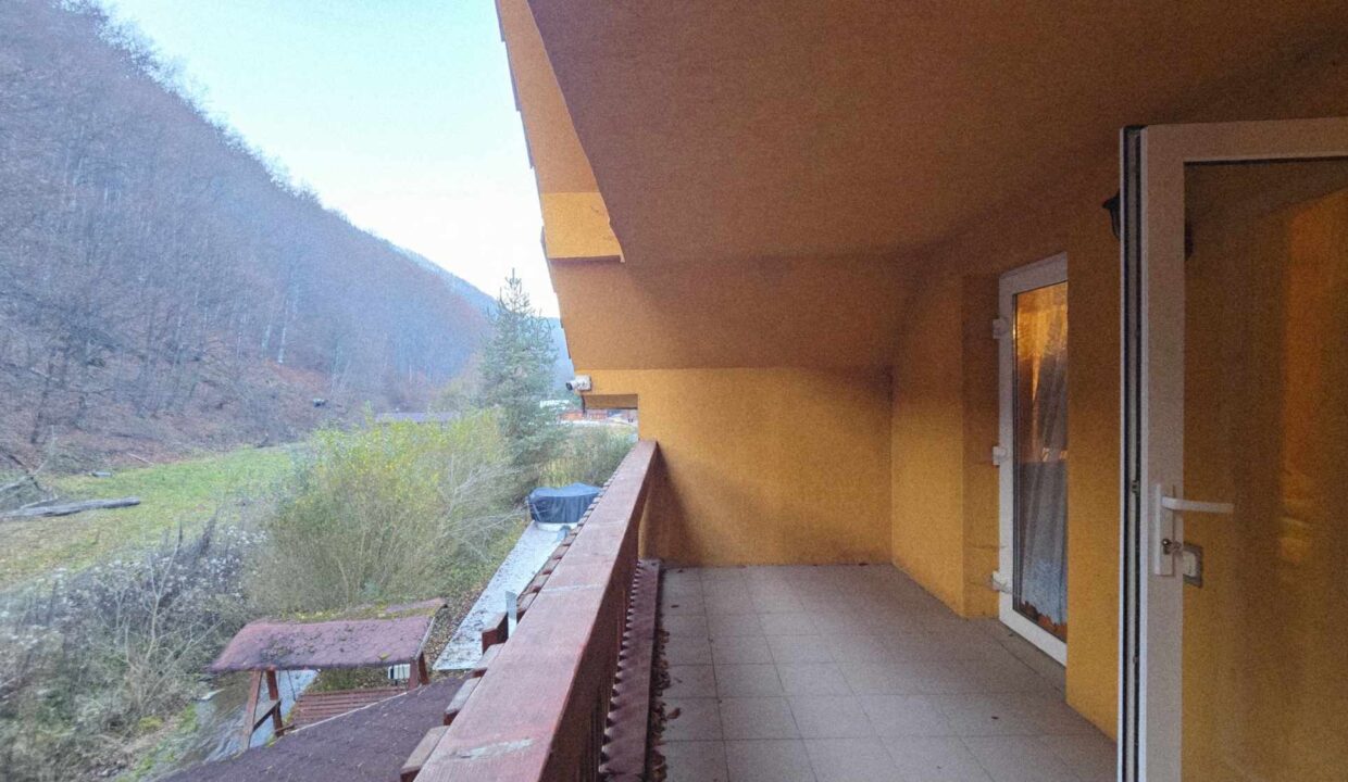 CV0524-Casa Pensiune, doua imobile intr-unul singur de vanzare, Valea Bratcutei, Bihor-64