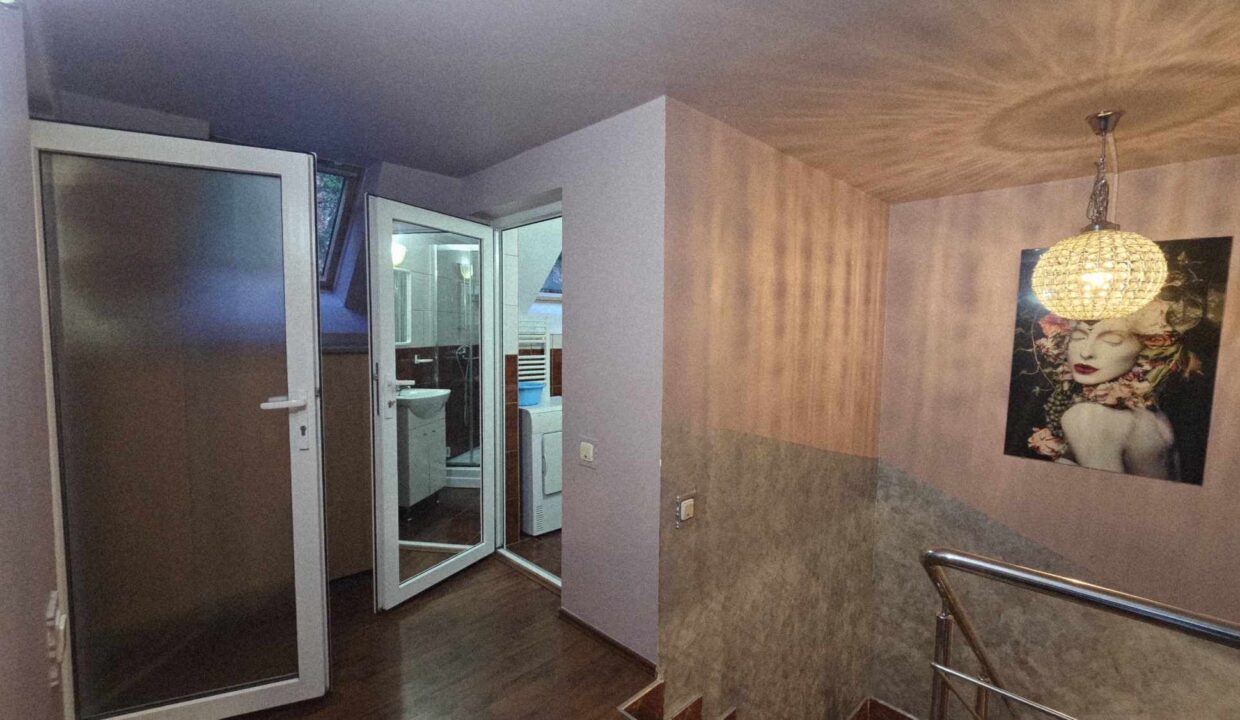 CV0524-Casa Pensiune, doua imobile intr-unul singur de vanzare, Valea Bratcutei, Bihor-67