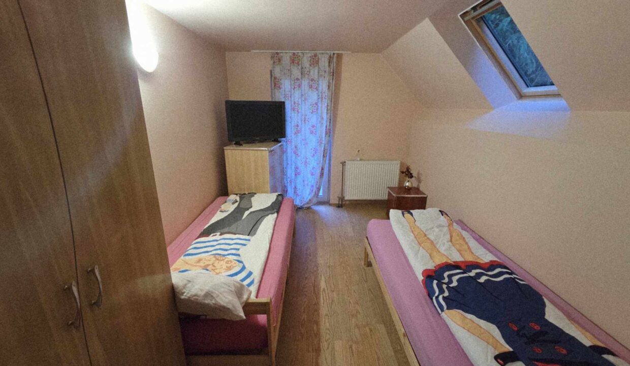 CV0524-Casa Pensiune, doua imobile intr-unul singur de vanzare, Valea Bratcutei, Bihor-69