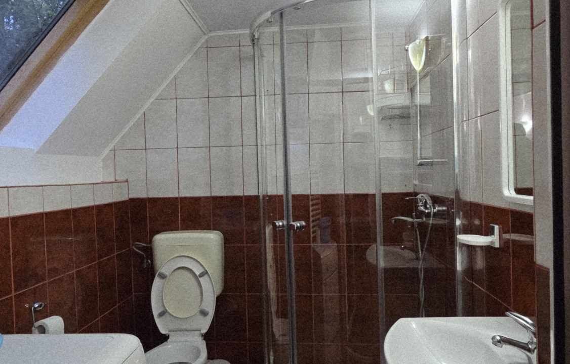 CV0524-Casa Pensiune, doua imobile intr-unul singur de vanzare, Valea Bratcutei, Bihor-70