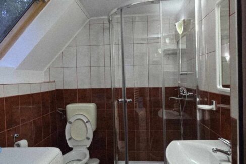 CV0524-Casa Pensiune, doua imobile intr-unul singur de vanzare, Valea Bratcutei, Bihor-70