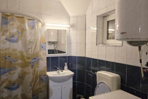 CV0524-Casa Pensiune, doua imobile intr-unul singur de vanzare, Valea Bratcutei, Bihor-82