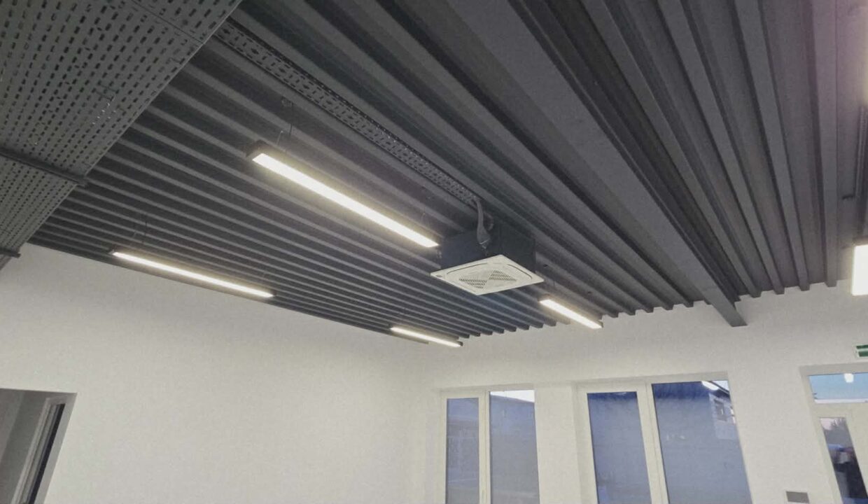 H0031-Hala de inchiriat spatiu de depozitare, showroom, birouri-15