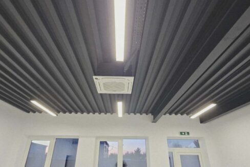 H0031-Hala de inchiriat spatiu de depozitare, showroom, birouri-16