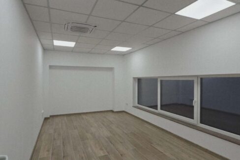 H0031-Hala de inchiriat spatiu de depozitare, showroom, birouri-36