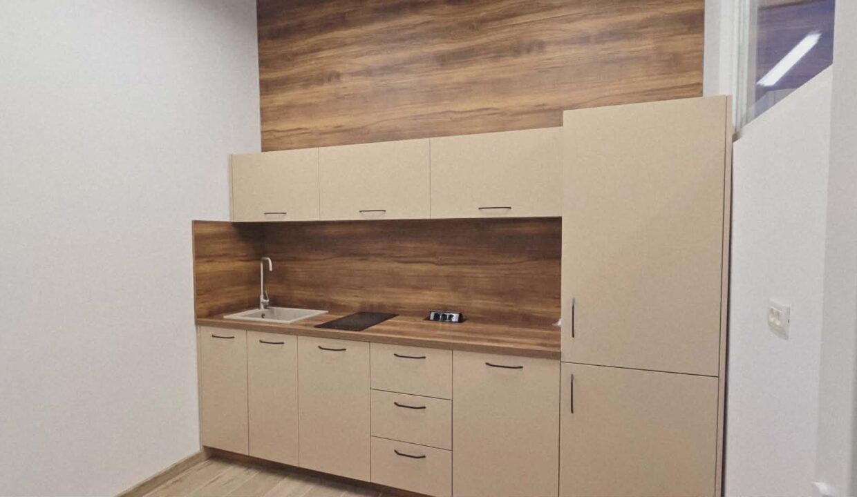 H0031-Hala de inchiriat spatiu de depozitare, showroom, birouri-37