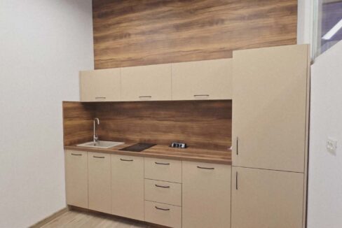 H0031-Hala de inchiriat spatiu de depozitare, showroom, birouri-37