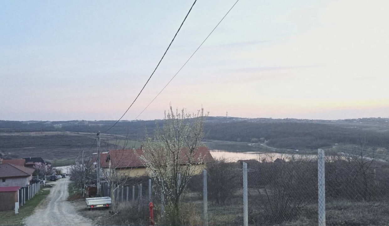T0124-Teren de vanzare, loc. Paleu-12
