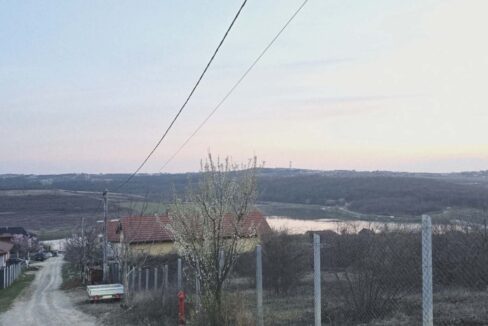 T0124-Teren de vanzare, loc. Paleu-12