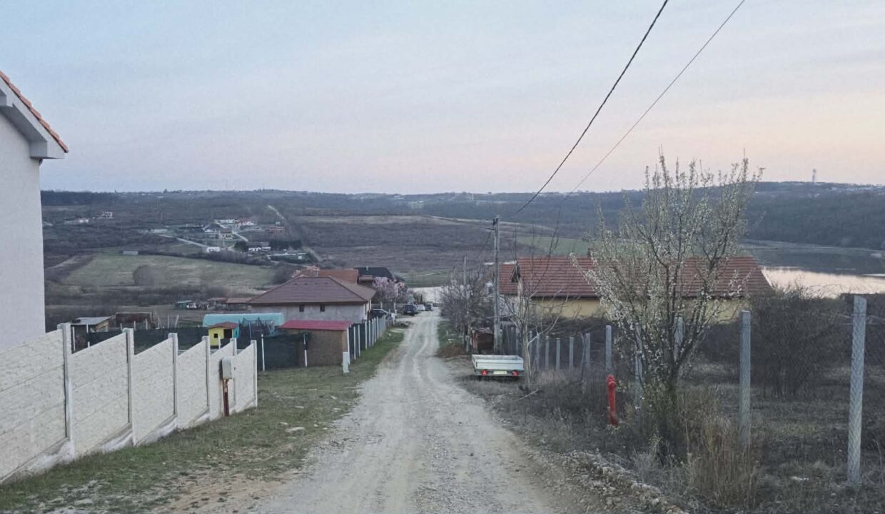 T0124-Teren de vanzare, loc. Paleu-13