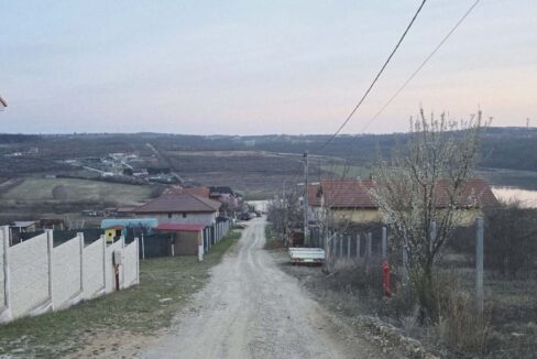 T0124-Teren de vanzare, loc. Paleu-13