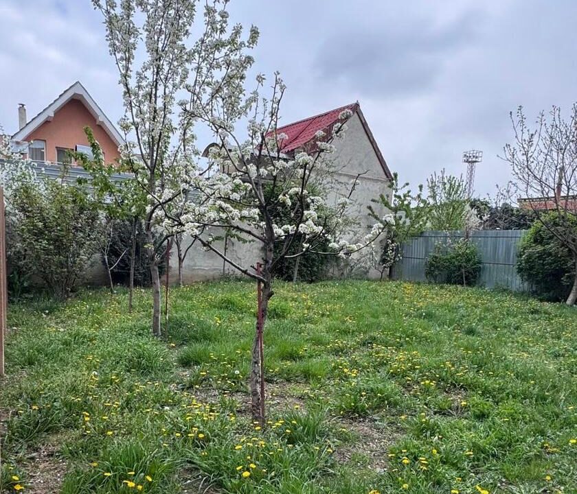 WhatsApp Image 2026-04-22 at 14.37.15