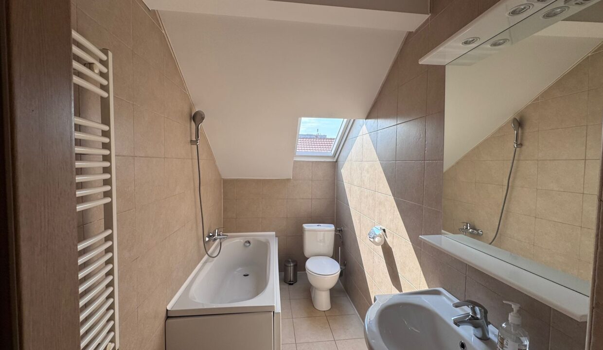AP1518-Ap 3 camere inchiriat - N Jiga-81