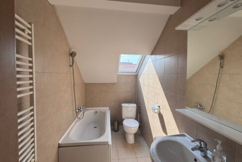AP1518-Ap 3 camere inchiriat - N Jiga-81