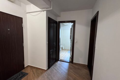 AP1519-Ap 3 camere închiriat T. Vladimirescu-28