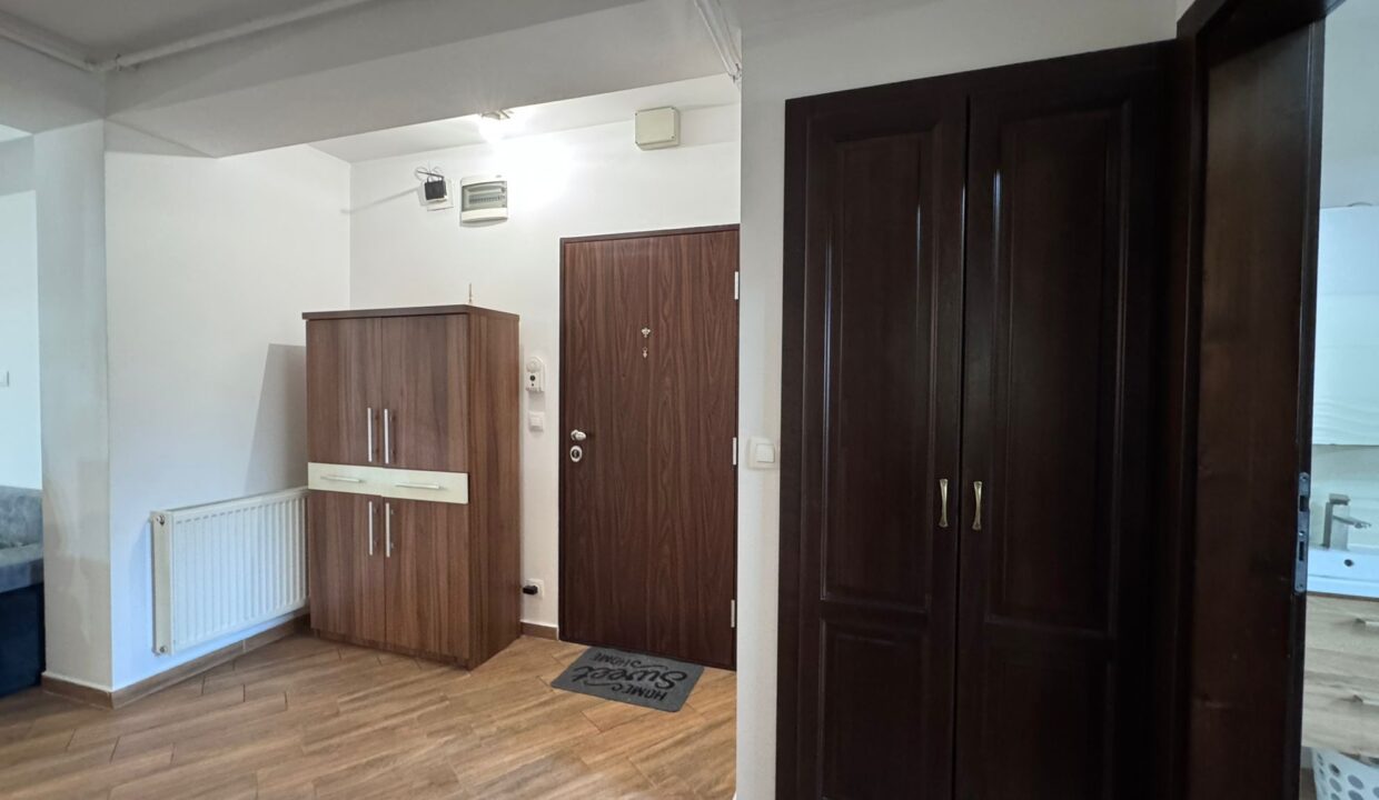 AP1519-Ap 3 camere închiriat T. Vladimirescu-35