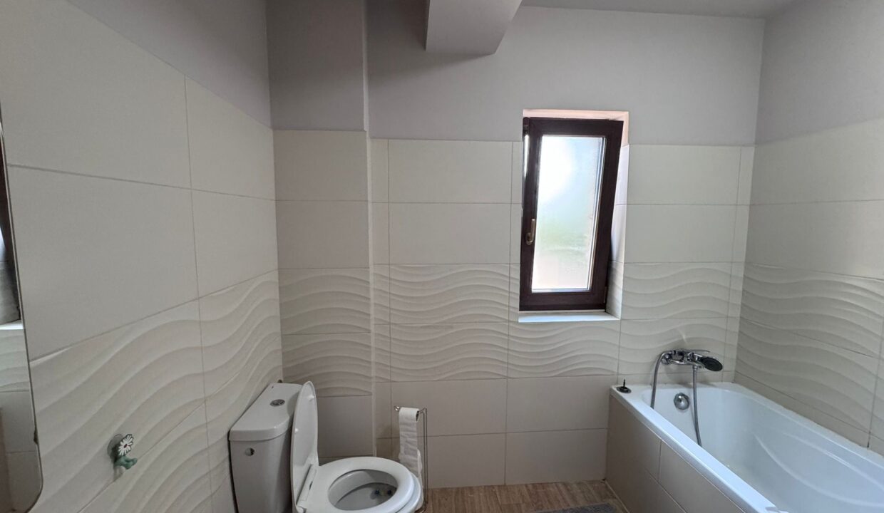 AP1519-Ap 3 camere închiriat T. Vladimirescu-37