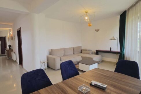 CV0528-Casa de inchiriat, Sânmartin, str. Petru Maior-08
