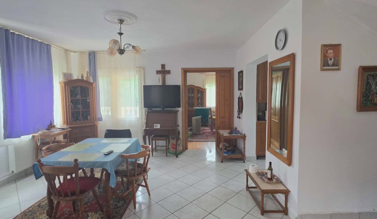 CV0529-Casa cu teren 3000 mp de vanzare str. Adevarului-01