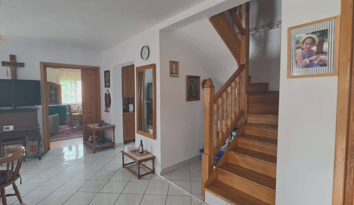 CV0529-Casa cu teren 3000 mp de vanzare str. Adevarului-02