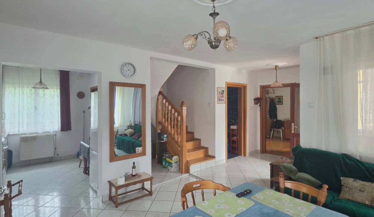 CV0529-Casa cu teren 3000 mp de vanzare str. Adevarului-04