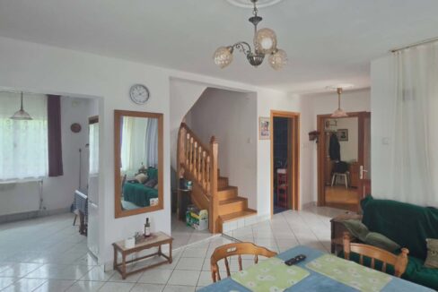 CV0529-Casa cu teren 3000 mp de vanzare str. Adevarului-04