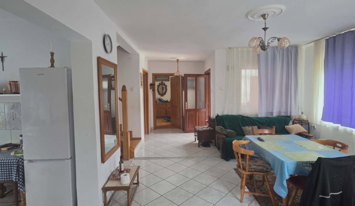 CV0529-Casa cu teren 3000 mp de vanzare str. Adevarului-05