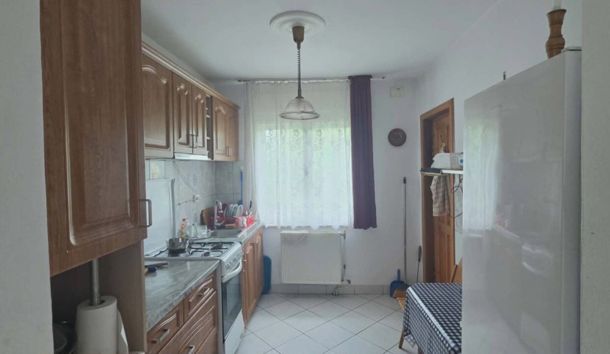 CV0529-Casa cu teren 3000 mp de vanzare str. Adevarului-06