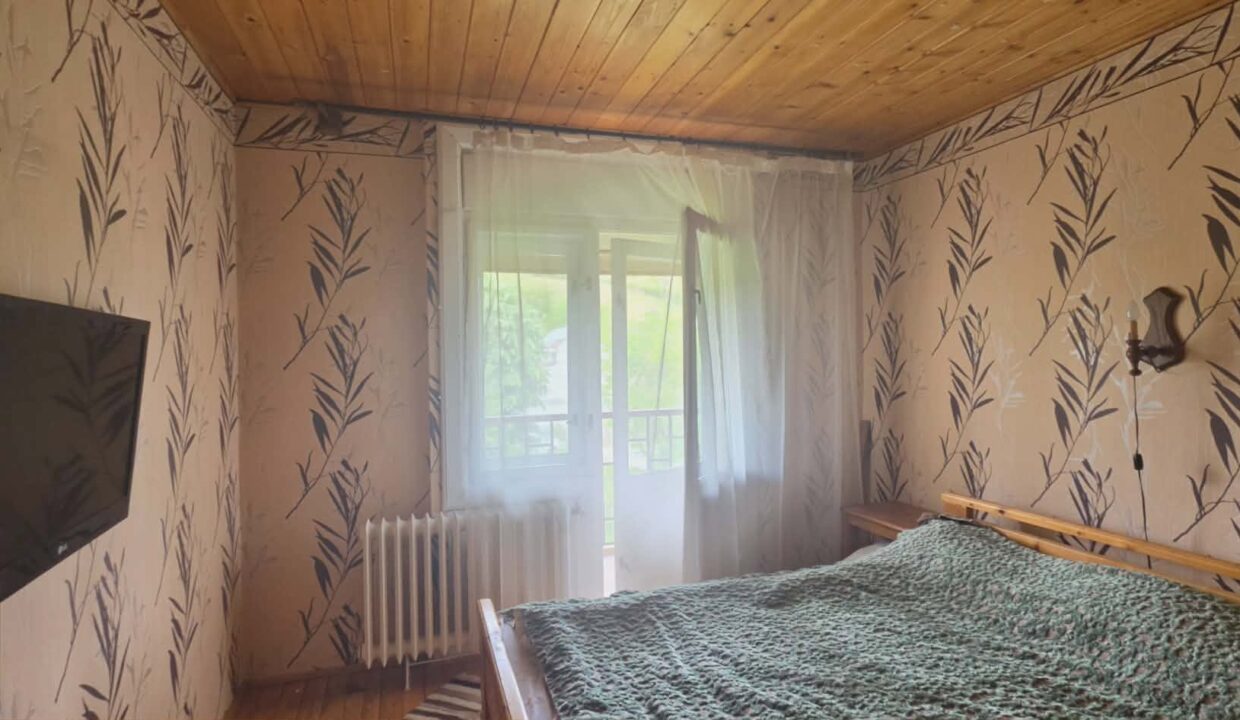 CV0529-Casa cu teren 3000 mp de vanzare str. Adevarului-09