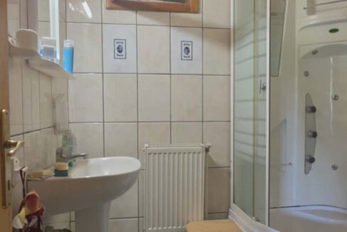 CV0529-Casa cu teren 3000 mp de vanzare str. Adevarului-11