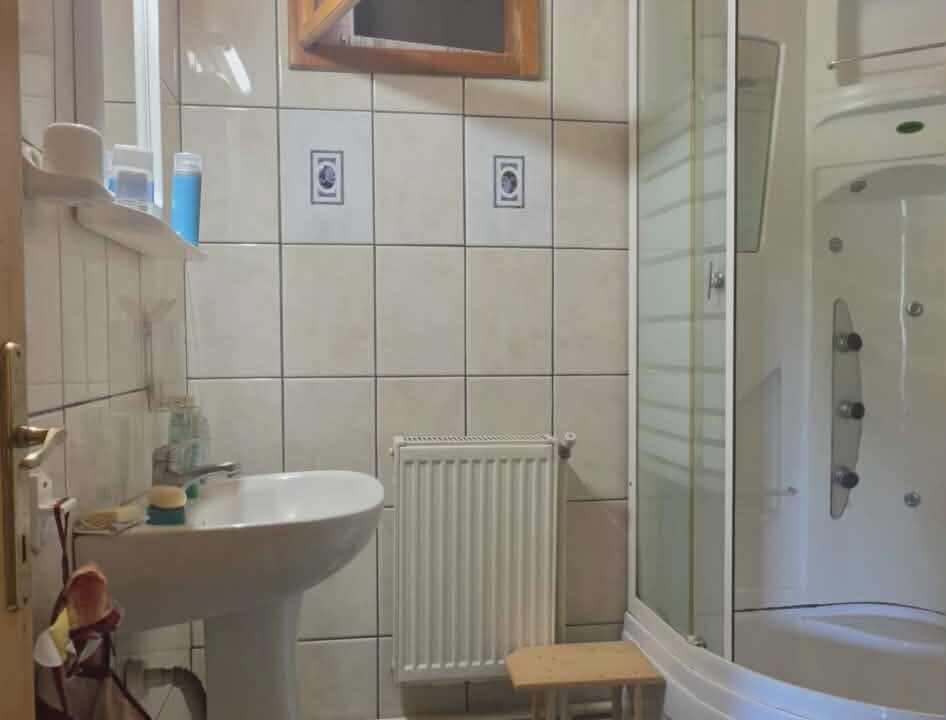 CV0529-Casa cu teren 3000 mp de vanzare str. Adevarului-11