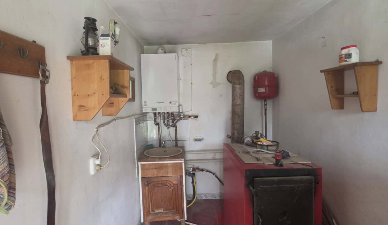 CV0529-Casa cu teren 3000 mp de vanzare str. Adevarului-12