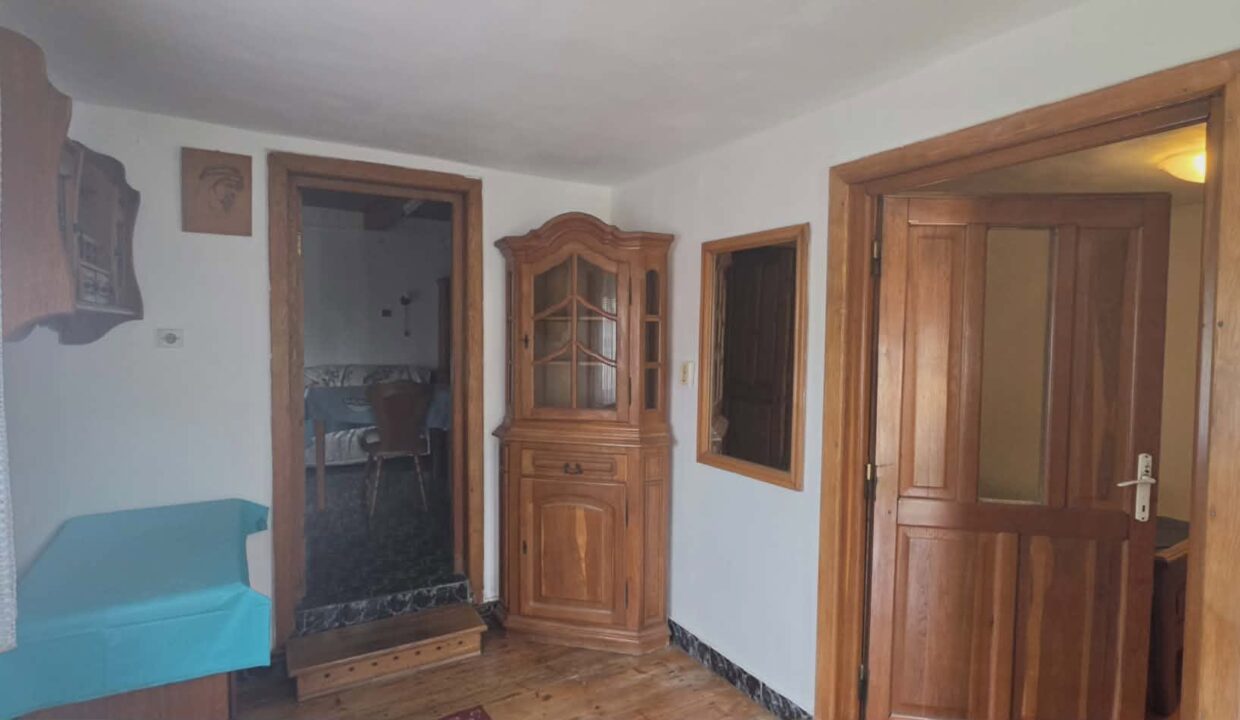 CV0529-Casa cu teren 3000 mp de vanzare str. Adevarului-16