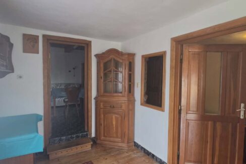 CV0529-Casa cu teren 3000 mp de vanzare str. Adevarului-16