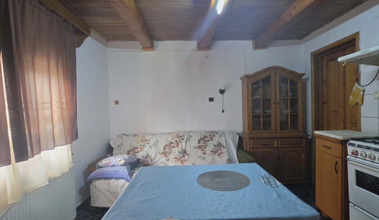 CV0529-Casa cu teren 3000 mp de vanzare str. Adevarului-17