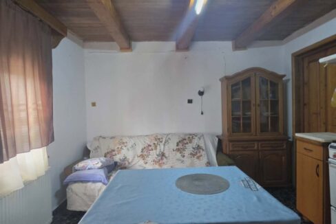 CV0529-Casa cu teren 3000 mp de vanzare str. Adevarului-17