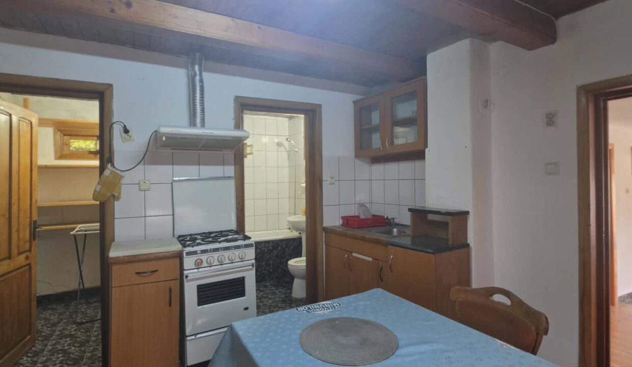 CV0529-Casa cu teren 3000 mp de vanzare str. Adevarului-18
