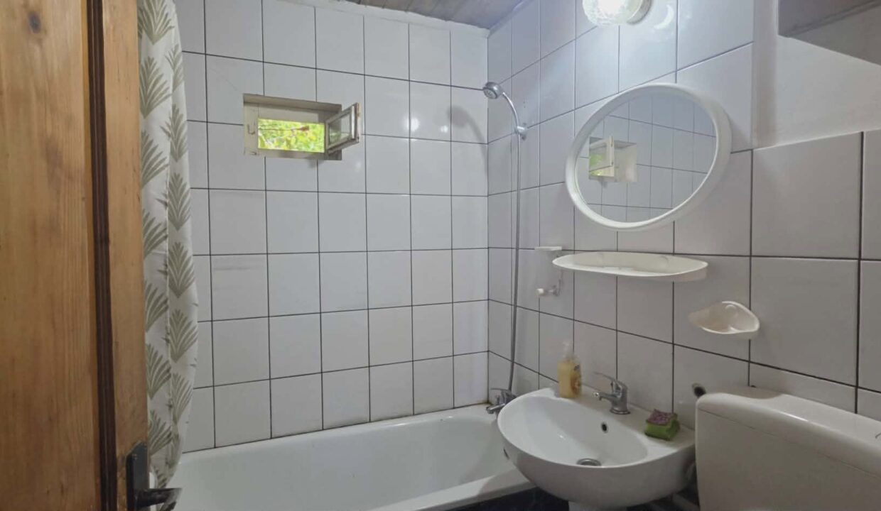 CV0529-Casa cu teren 3000 mp de vanzare str. Adevarului-21