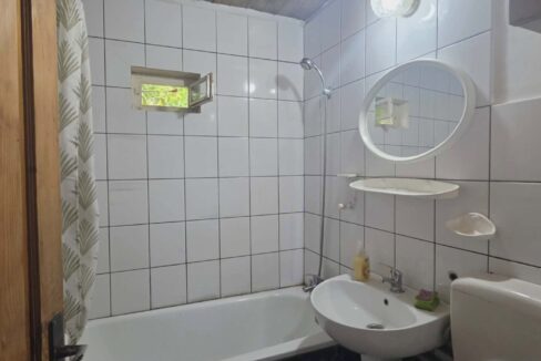 CV0529-Casa cu teren 3000 mp de vanzare str. Adevarului-21