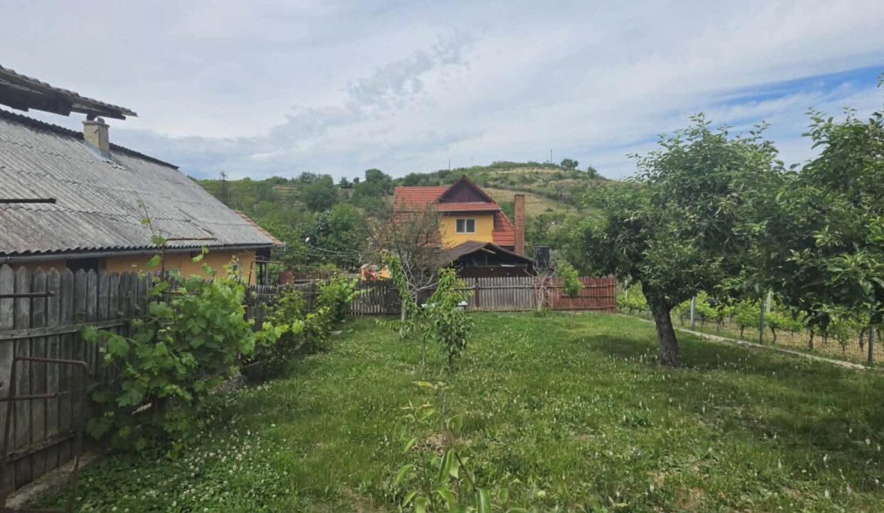 CV0529-Casa cu teren 3000 mp de vanzare str. Adevarului-29