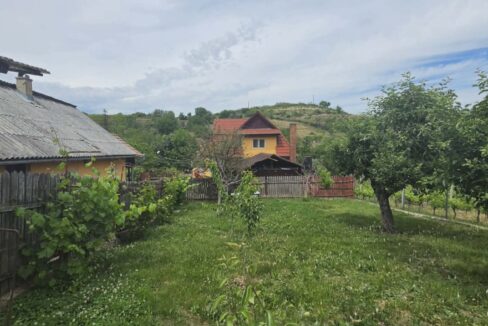 CV0529-Casa cu teren 3000 mp de vanzare str. Adevarului-29