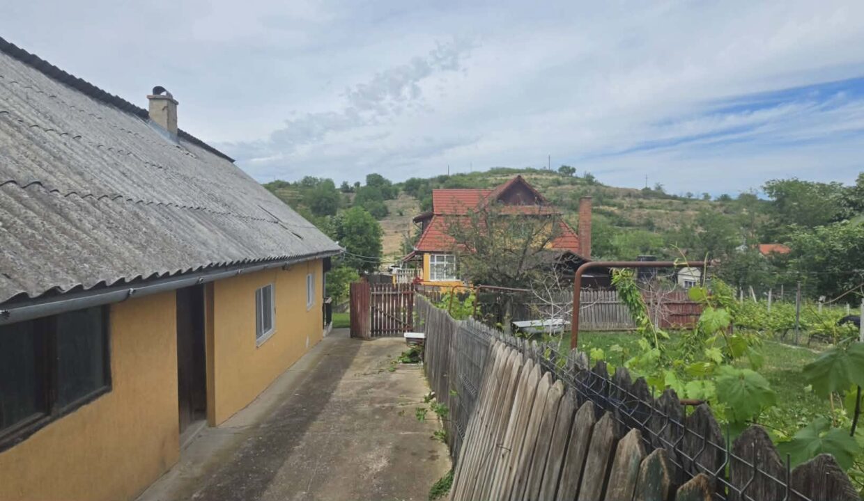 CV0529-Casa cu teren 3000 mp de vanzare str. Adevarului-30